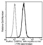 Caspase 14 Antibody in Flow Cytometry (Flow)