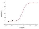 MERS Coronavirus Spike Protein Antibody in Neutralization (Neu)