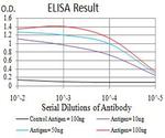 AFAP1L2 Antibody in ELISA (ELISA)