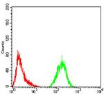 ATG13 Antibody in Flow Cytometry (Flow)