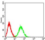 BCL11B Antibody in Flow Cytometry (Flow)