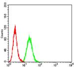 Bcl-B Antibody in Flow Cytometry (Flow)