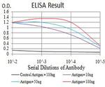 BRD2 Antibody in ELISA (ELISA)