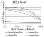 CHRNA3 Antibody in ELISA (ELISA)