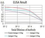 CHRNB4 Antibody in ELISA (ELISA)