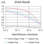 CHRNE Antibody in ELISA (ELISA)