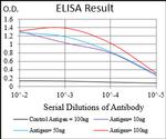 CK2 beta Antibody in ELISA (ELISA)