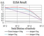 DNMT3L Antibody in ELISA (ELISA)