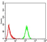 Emerin Antibody in Flow Cytometry (Flow)