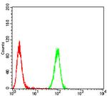 Emerin Antibody in Flow Cytometry (Flow)