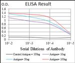 FUT4 Antibody in ELISA (ELISA)