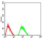 NMDAR3B Antibody in Flow Cytometry (Flow)