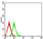 mGluR6 Antibody in Flow Cytometry (Flow)