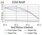 JMJD2B Antibody in ELISA (ELISA)