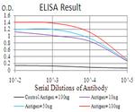 KDM5B Antibody in ELISA (ELISA)