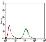 KHDRBS2 Antibody in Flow Cytometry (Flow)