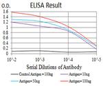 P2Y14 Antibody in ELISA (ELISA)