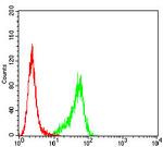 P2Y14 Antibody in Flow Cytometry (Flow)