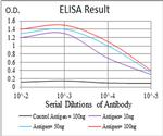 PKHD1 Antibody in ELISA (ELISA)