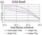 PTPN14 Antibody in ELISA (ELISA)