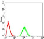 RAD21 Antibody in Flow Cytometry (Flow)