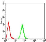 RAD52 Antibody in Flow Cytometry (Flow)