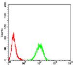 RALA Antibody in Flow Cytometry (Flow)