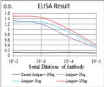 SSH1 Antibody in ELISA (ELISA)