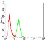 SSH1 Antibody in Flow Cytometry (Flow)