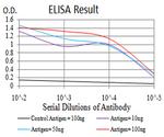 TCF4 Antibody in ELISA (ELISA)