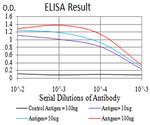 TCF4 Antibody in ELISA (ELISA)