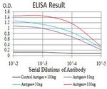 AP2 beta Antibody in ELISA (ELISA)