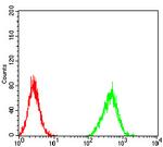 ZFP91 Antibody in Flow Cytometry (Flow)