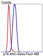 ARPC5 Antibody in Flow Cytometry (Flow)