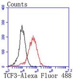 TCF3 Antibody in Flow Cytometry (Flow)