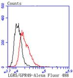 LGR5 Antibody in Flow Cytometry (Flow)