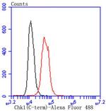 Chk1 Antibody in Flow Cytometry (Flow)