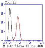 MTCO2 Antibody in Flow Cytometry (Flow)