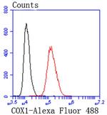 COX1 Antibody in Flow Cytometry (Flow)