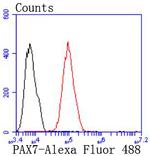 PAX7 Antibody in Flow Cytometry (Flow)