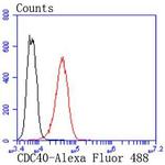 Cdc40 Antibody in Flow Cytometry (Flow)