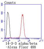 14-3-3 beta Antibody in Flow Cytometry (Flow)