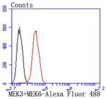 MEK3/MEK6 Antibody in Flow Cytometry (Flow)