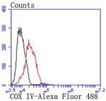 COX4 Antibody in Flow Cytometry (Flow)