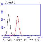 c-Fos Antibody in Flow Cytometry (Flow)