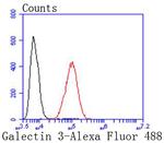 Galectin 3 Antibody in Flow Cytometry (Flow)