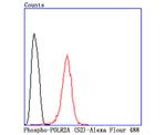 Phospho-RNA pol II CTD (Ser2) Antibody in Flow Cytometry (Flow)