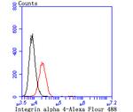 ITGA4 Antibody in Flow Cytometry (Flow)