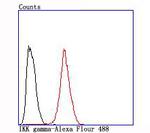 IKK gamma Antibody in Flow Cytometry (Flow)