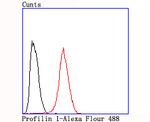 Profilin 1 Antibody in Flow Cytometry (Flow)